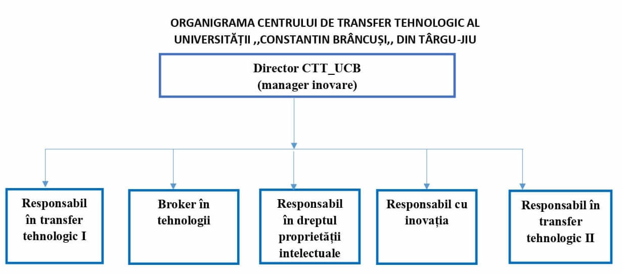 Organigrama CTT UCB