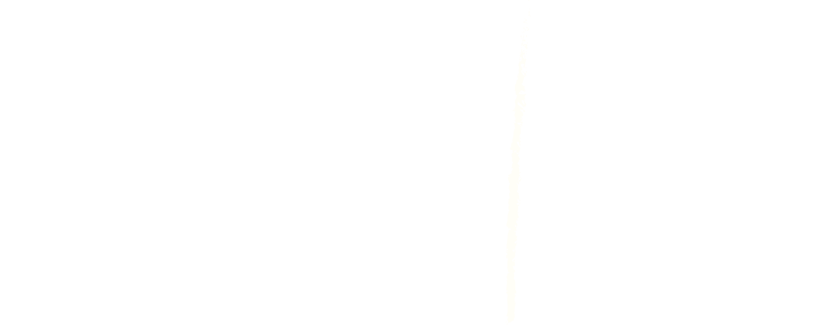 Brâncuși 150 — 150 de ani de la naștere